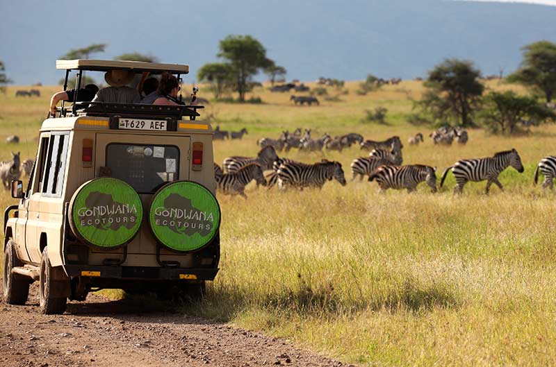 Tanzania Camping Thumbnail