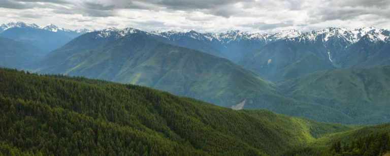 Hurricane Ridge of Olympic National Park