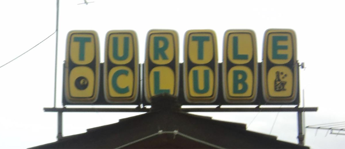 turtle club