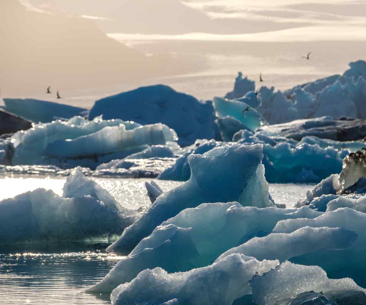 Glaciers melting in Alaska