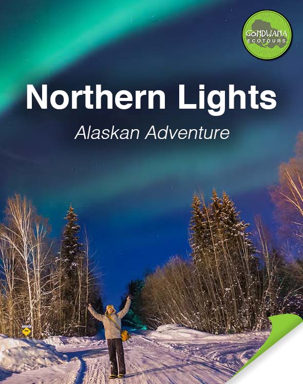 Northern Lights Brochure