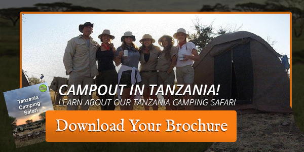 camping safari in tanzania