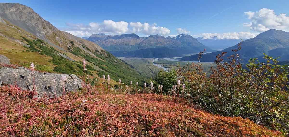 Photo of the landscape surrounding Exit Glacier in Alaska on Gondwana Ecotour's Glaciers & Grizzlies Adventure.