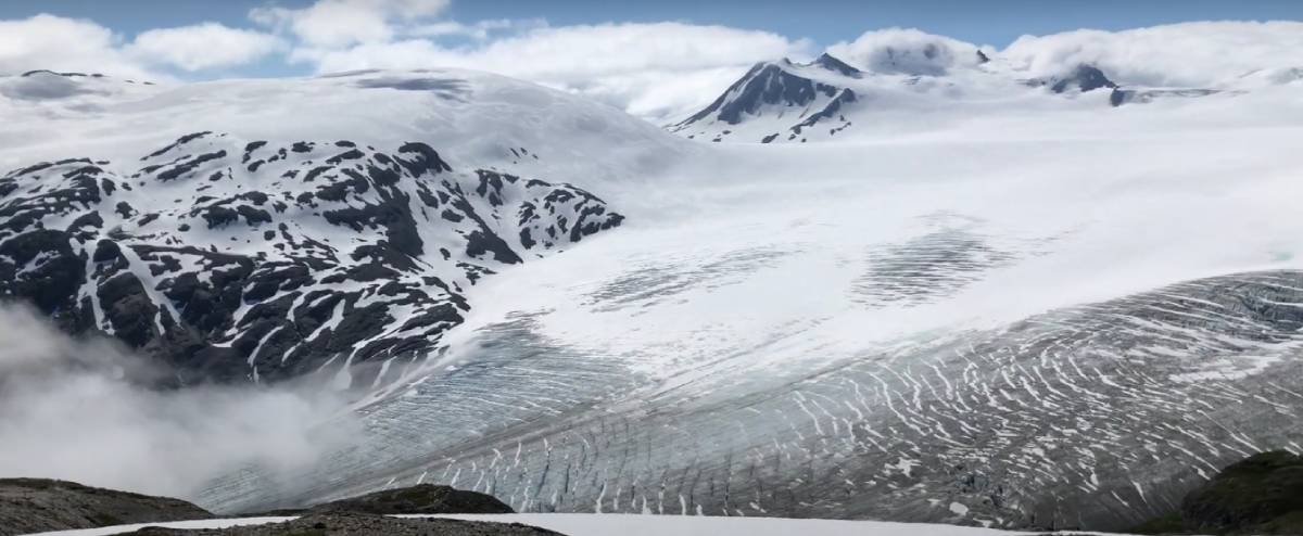 Photo of the Harding Ice Field Alaska on Gondwana Ecotour's Glaciers & Grizzlies Adventure. 