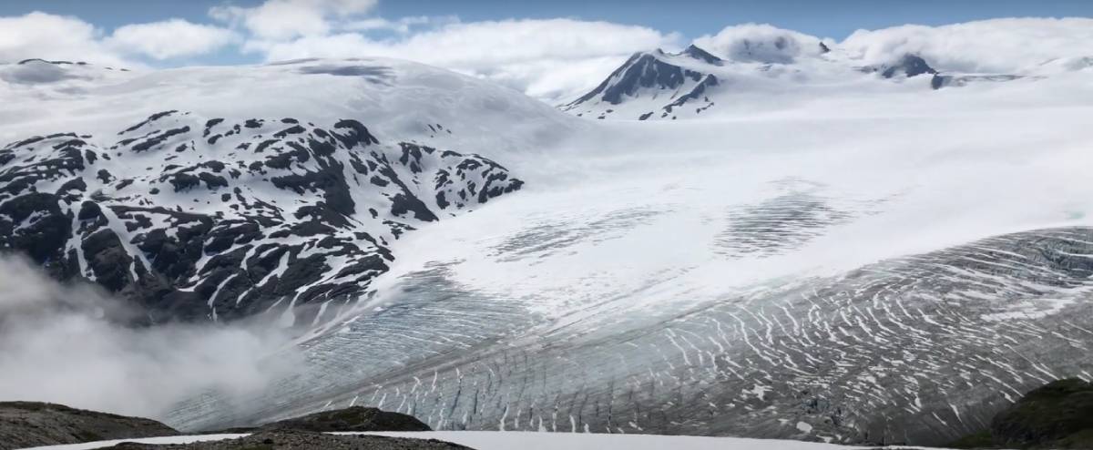 Photo of the Harding Ice Field Alaska on Gondwana Ecotour's Glaciers & Grizzlies Adventure.