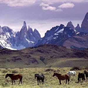 patagonia 8