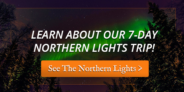 see the Northern Lights in alaska