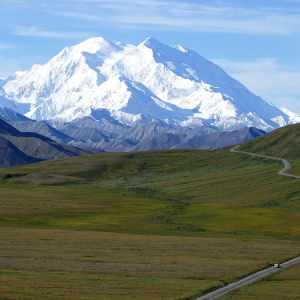 denali banner