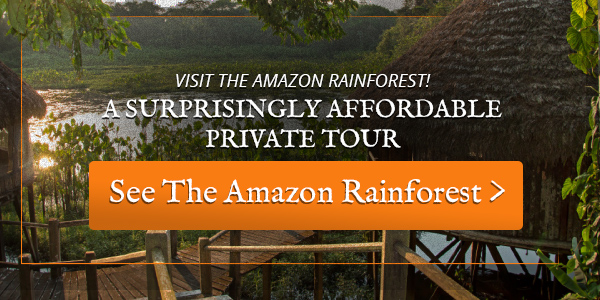 amazon rainforest ecotour