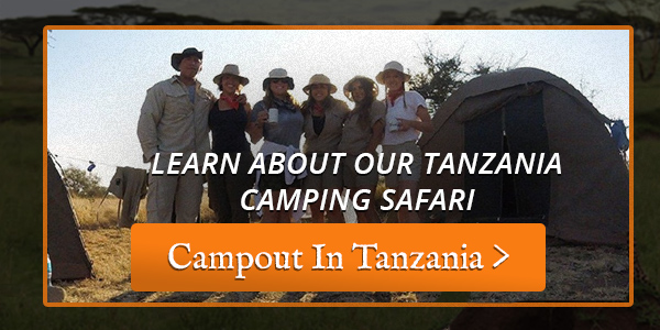 Tanzania Camping CTA img