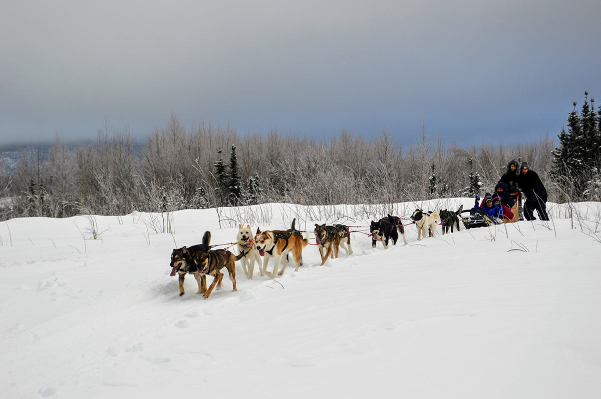 Alaskan dog sled