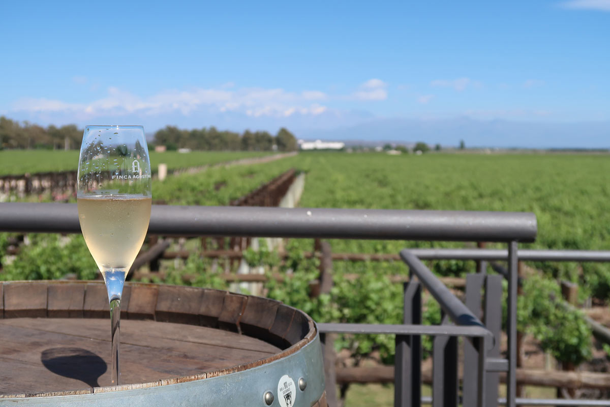A glass of bubbles by the vineyards of Mendoza, Argentina