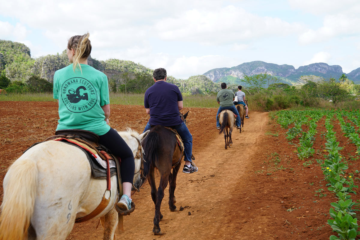 Horseback riders in Argentina