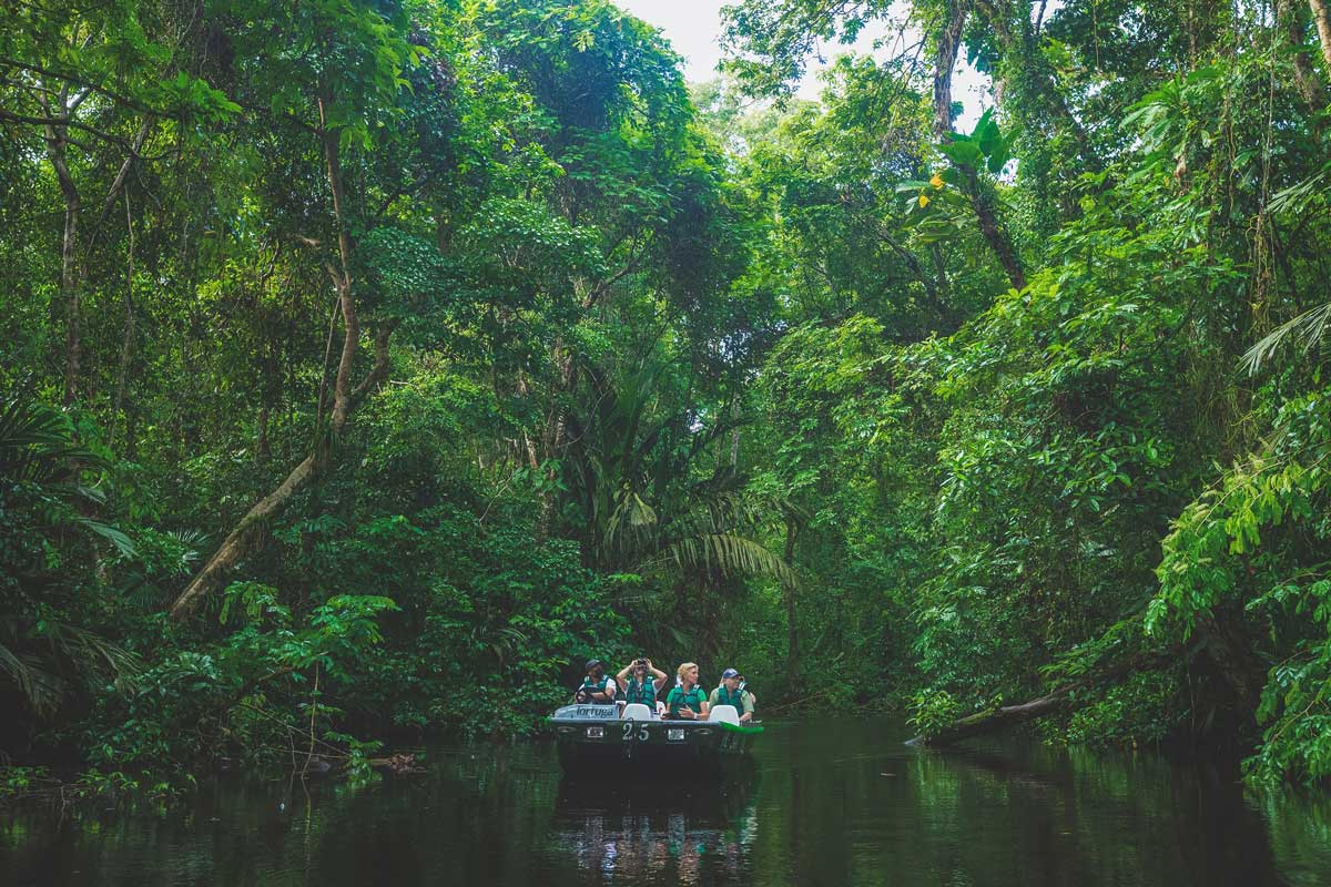 <span>Costa Rica:</span> Secluded Wildlife Adventure 9 Image