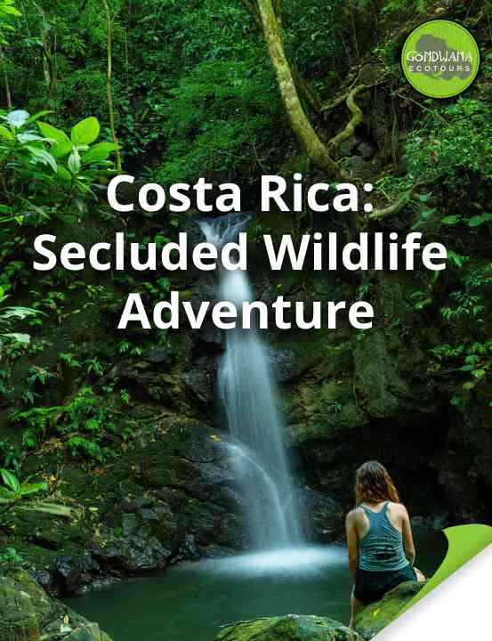 Costa Rica Tour