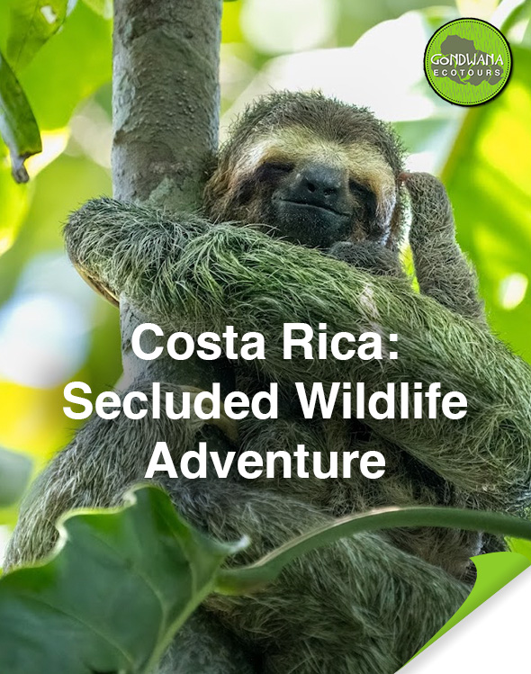 Costa Rica Tour