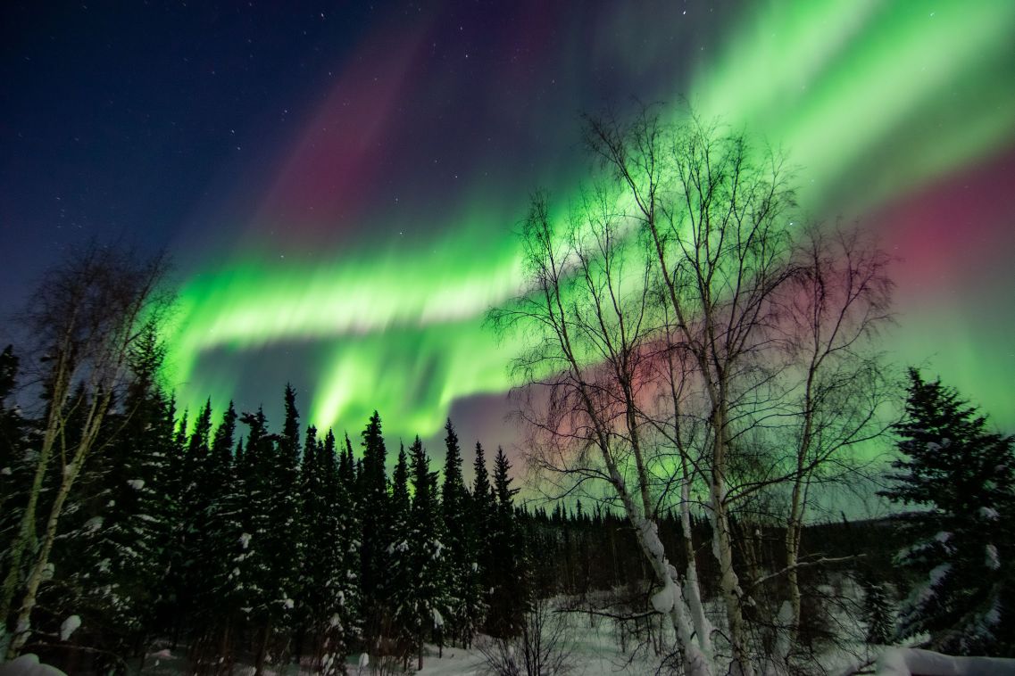 when are the northern lights in North America