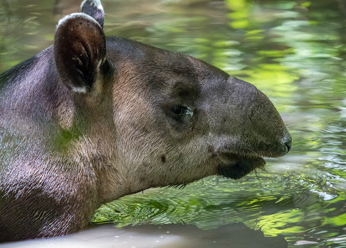 cr23DSC00377 topaz denoiseraw