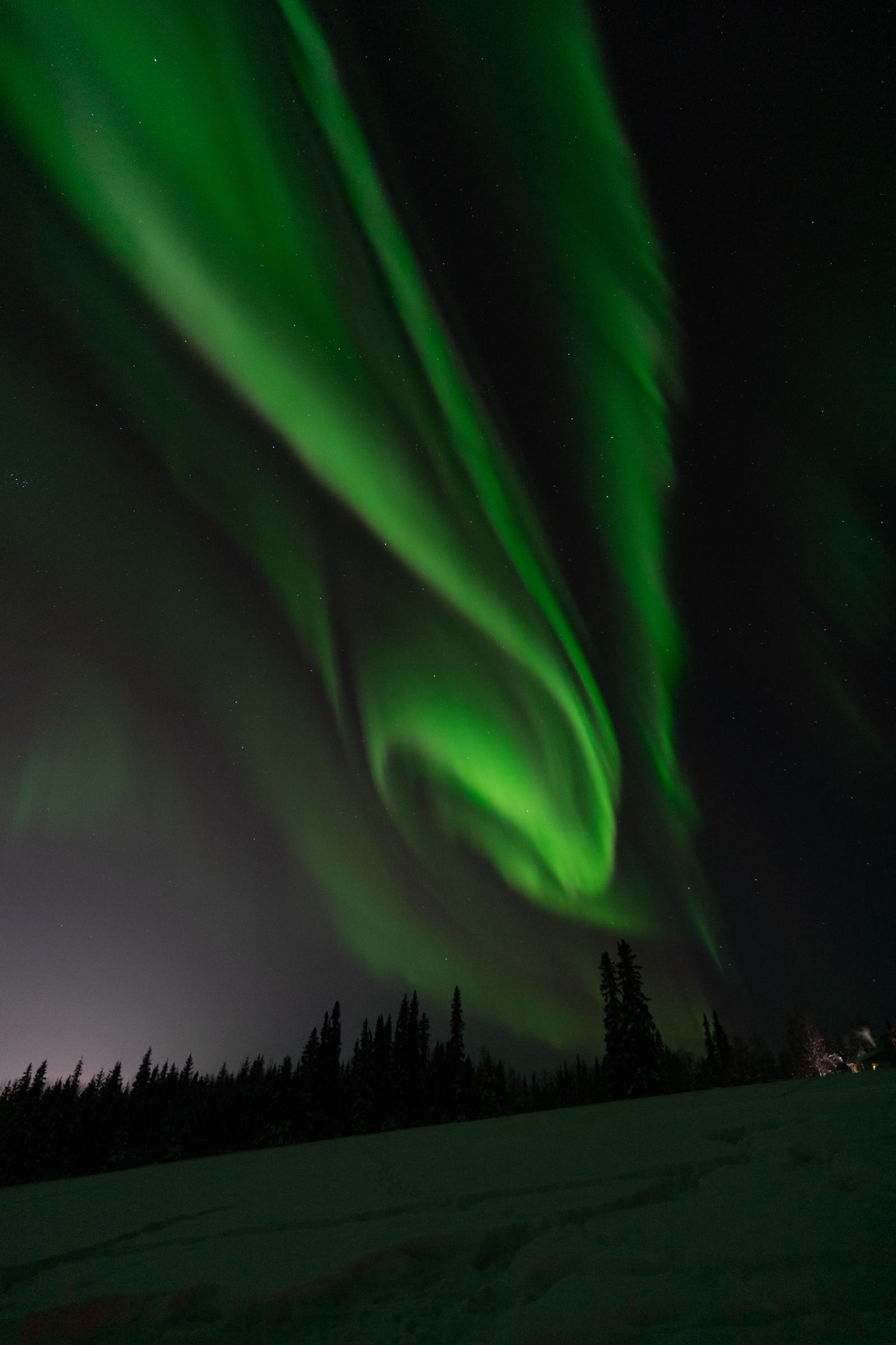 Aurora Borealis Starry Skies Fairbanks