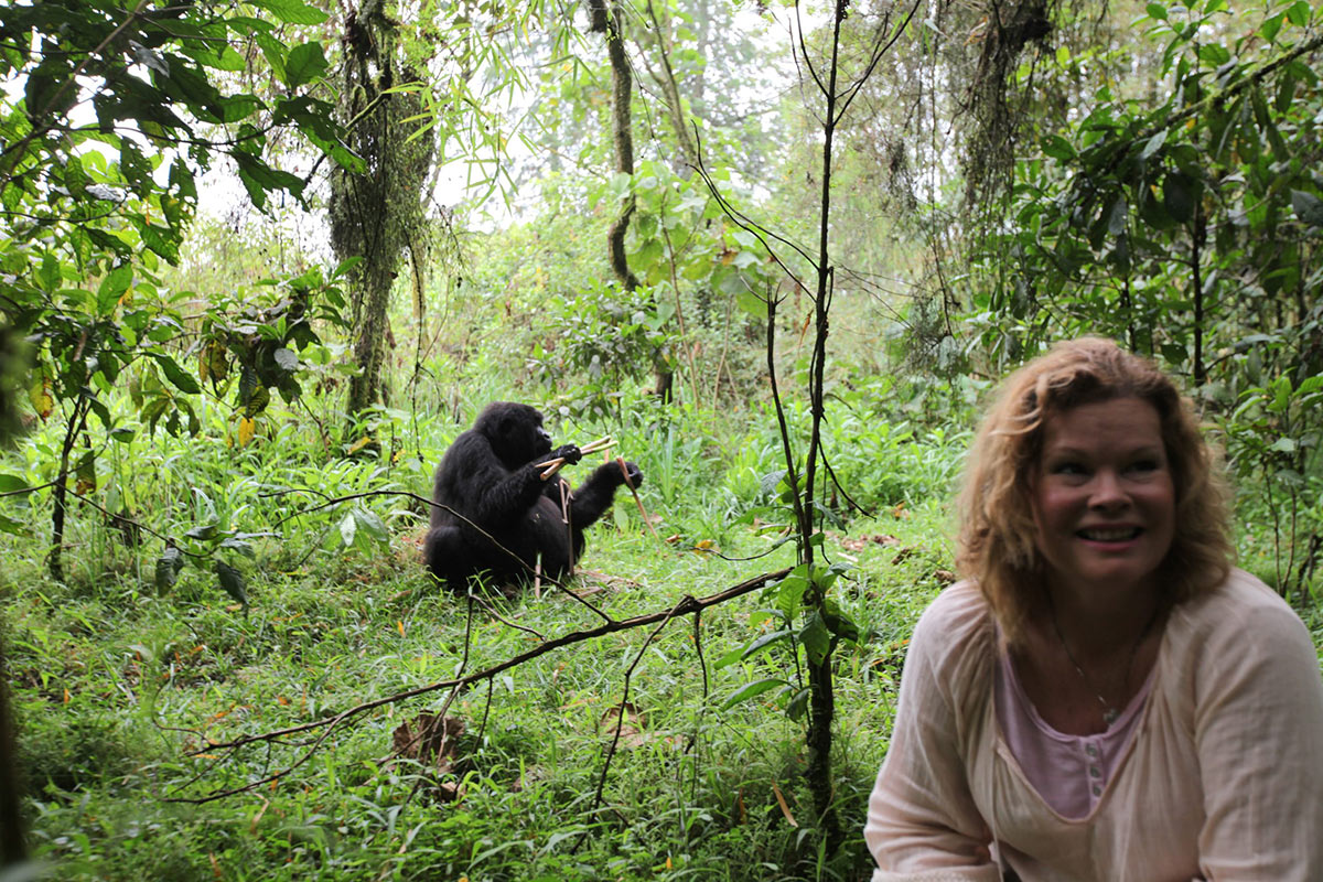 Guest With Gorilla Holding Bamboo