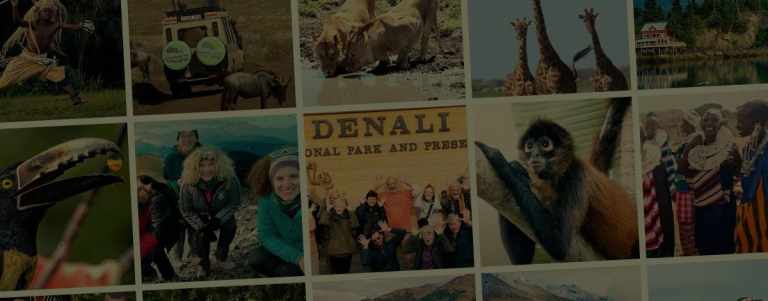 Gondwana 2023 Travel Recap dark e1704819793194
