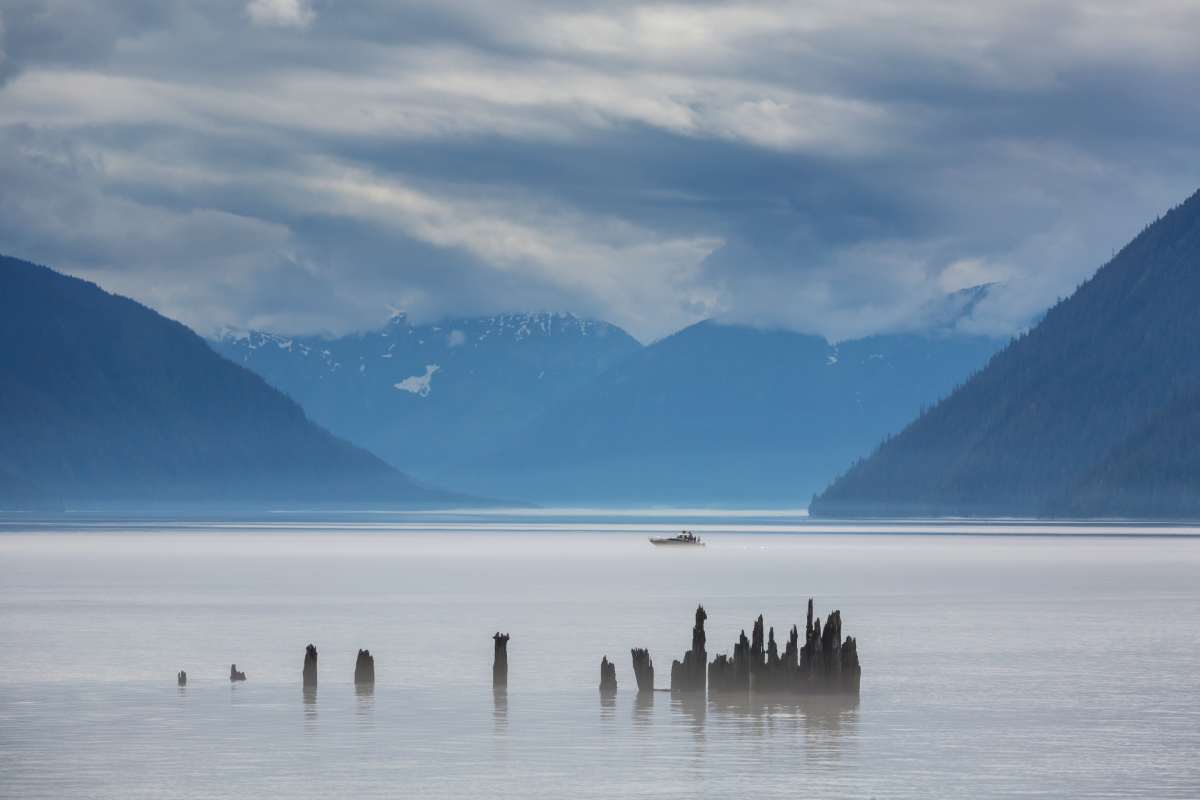 Travel Alaska by cruising the coastline