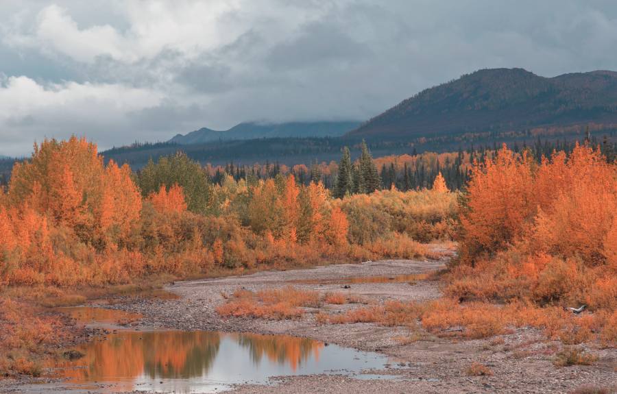 autumn in alaska 1