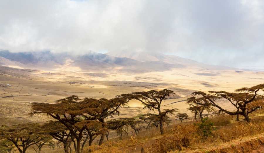 Landscape of African Crater with trees