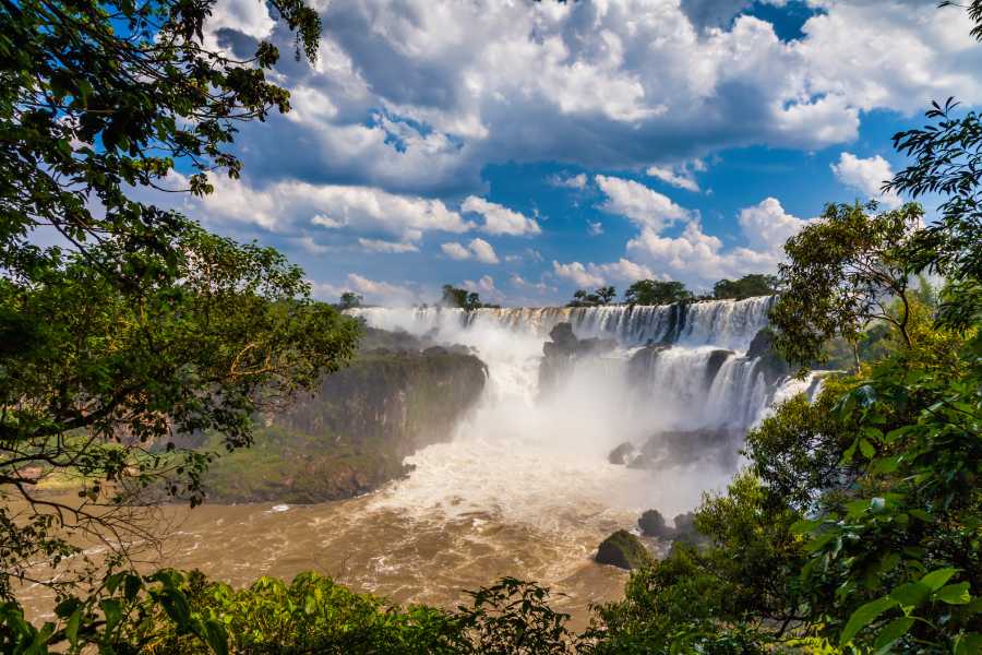 View of Iguazu Falls through forest in Argentina