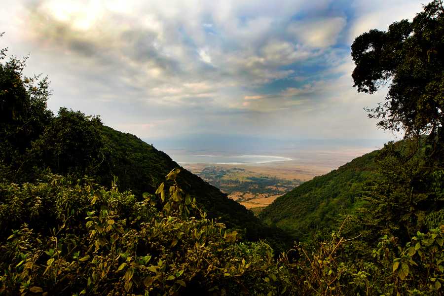 view of Ngorongoro Crater in africa