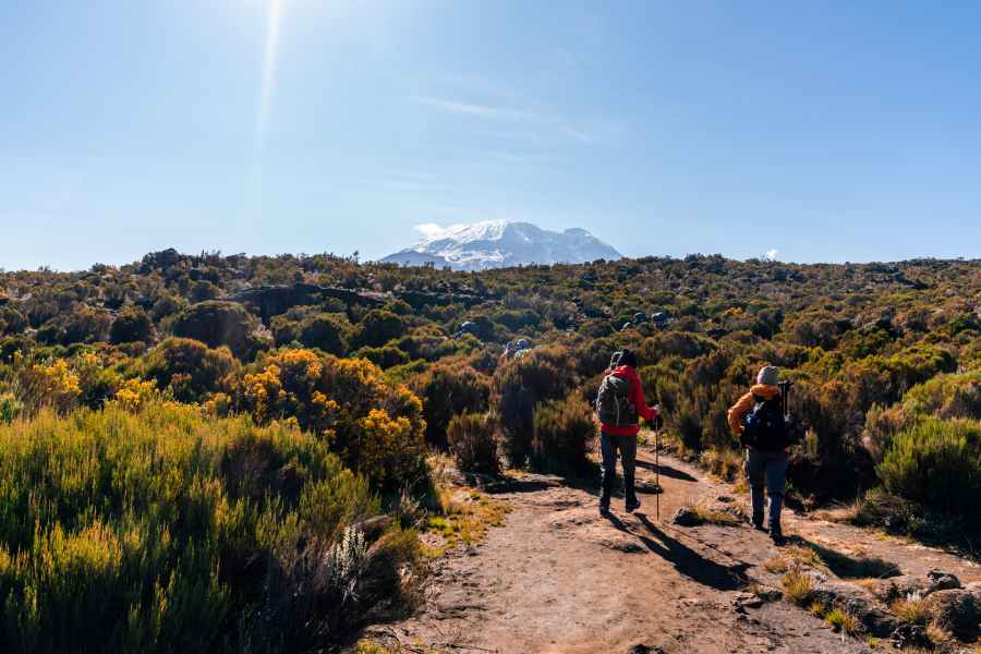 group scheduled hike on Mount Kilimanjaro