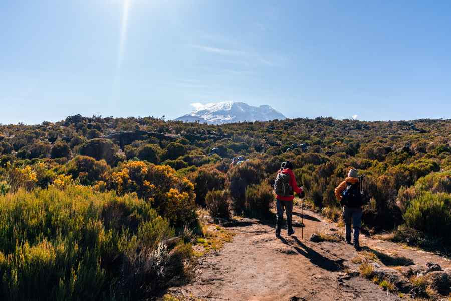 group of trekkers hiking kilimanjaro