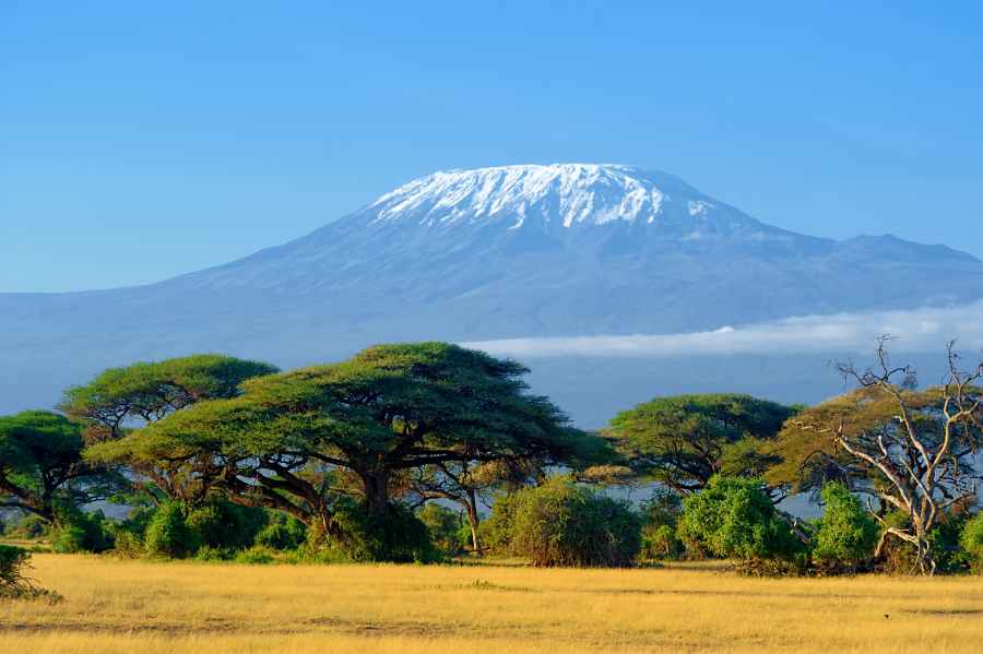 Mount Kilimanjaro landscape Tanzania