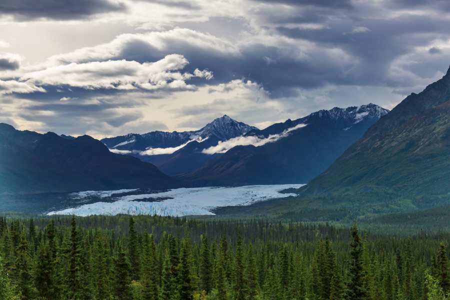 beautiful summer wilderness in Alaska