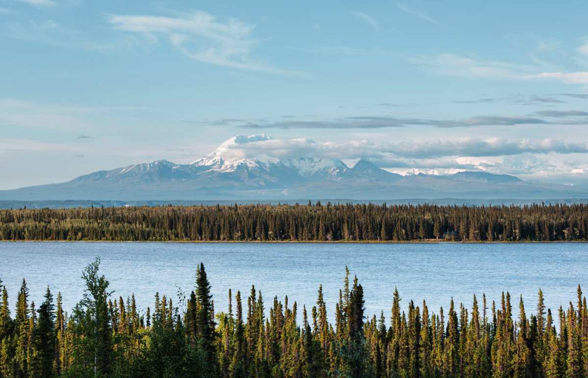 Alaska mountain range in the summer