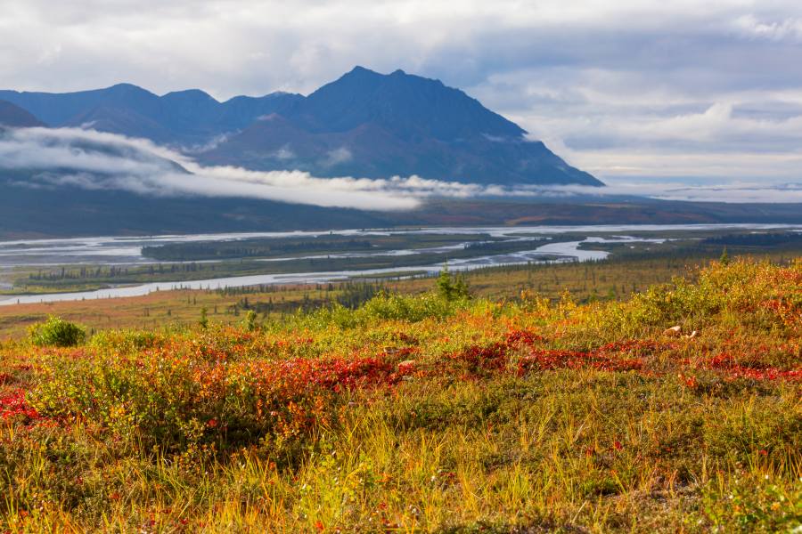 mountains in alaska in september