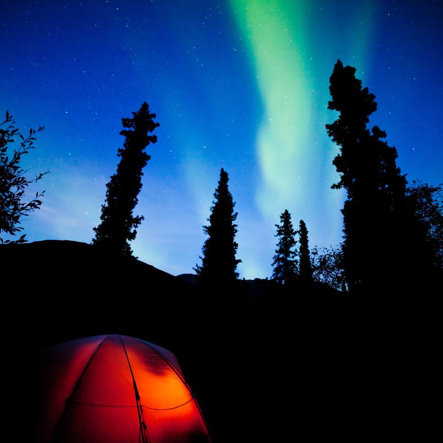 camping under the northern lights in woods