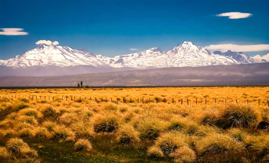 Grassy lands of Argentina with mountains