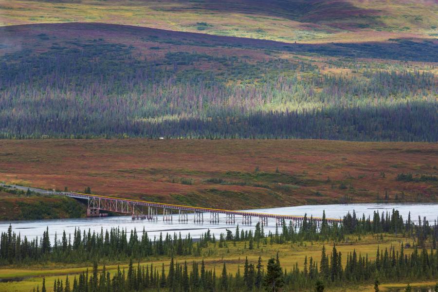 Alaska railroad