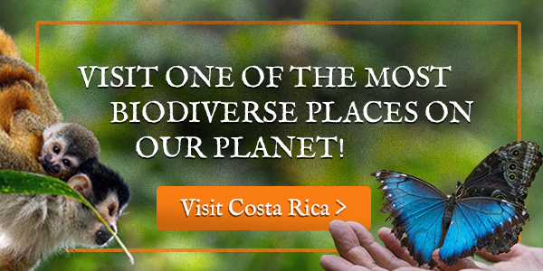 Costa Rica ecotour