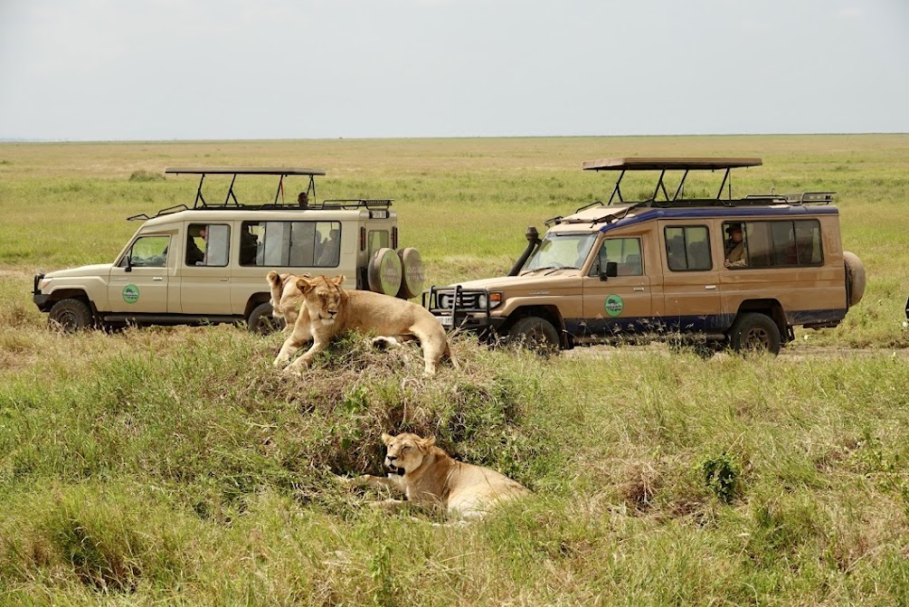 Gondwana Ecotours Tanzania: Great Migration Safari