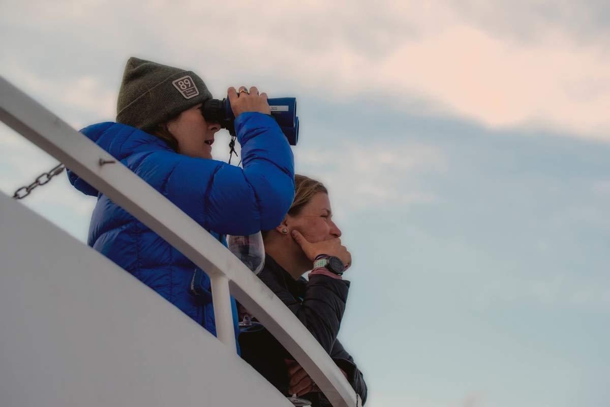 whale watching tour in Alaska