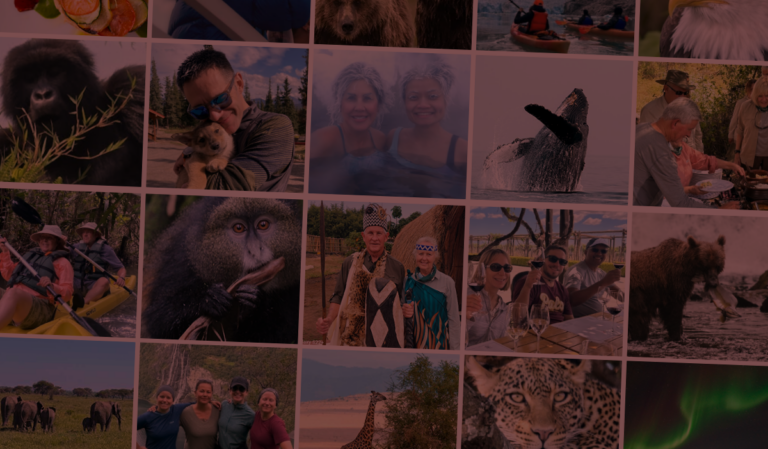 Gondwana Ecotours 2024 Year In Review Dark