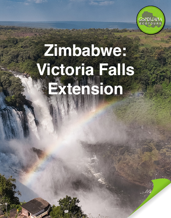 Zimbabwe Tour