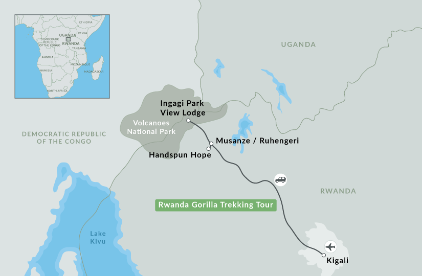 See Gorillas In Rwanda