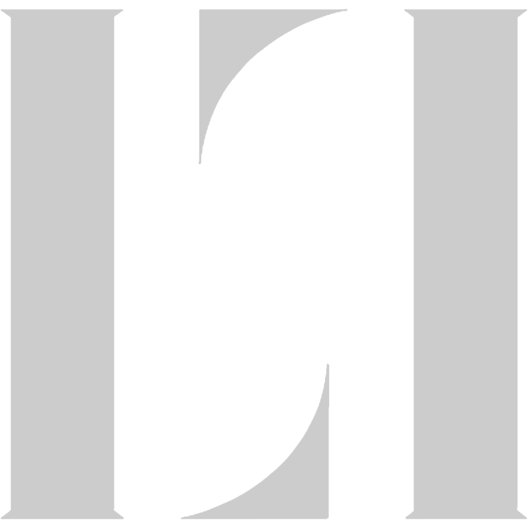 lt logo