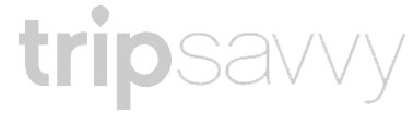 trip savvy logo