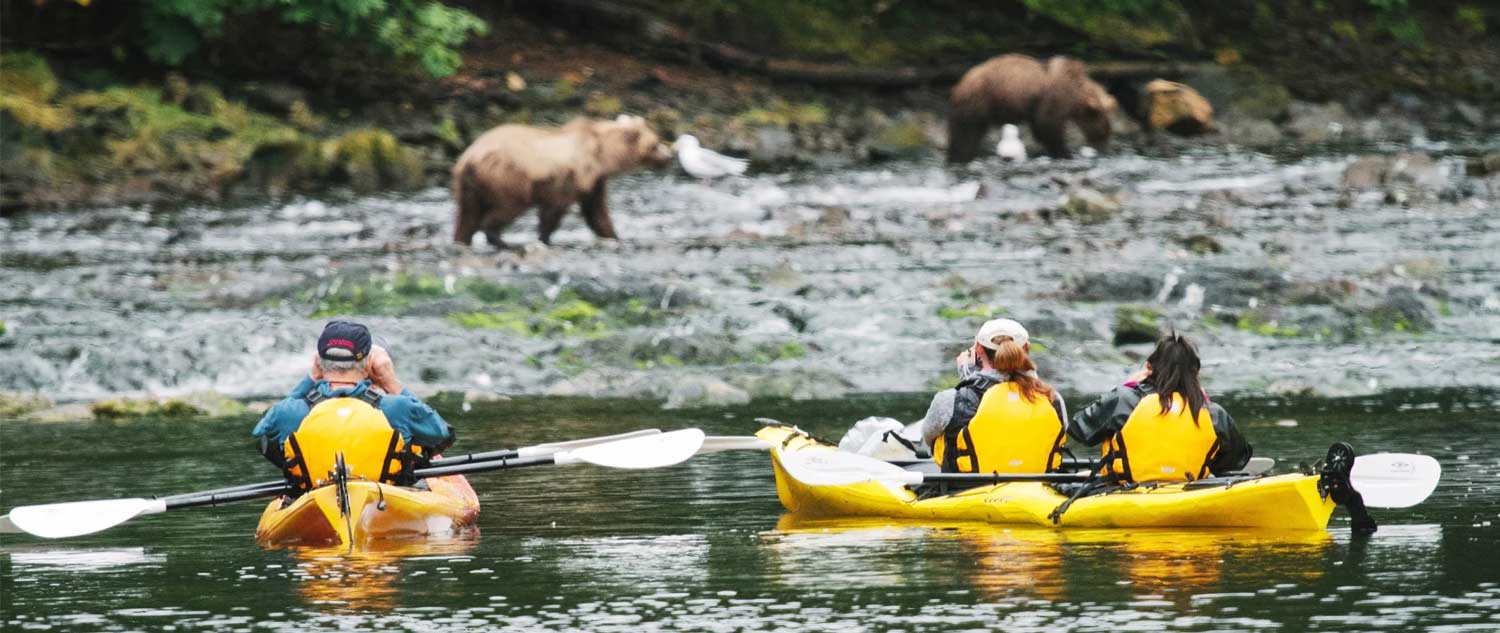 Bears while kayaking alaskan