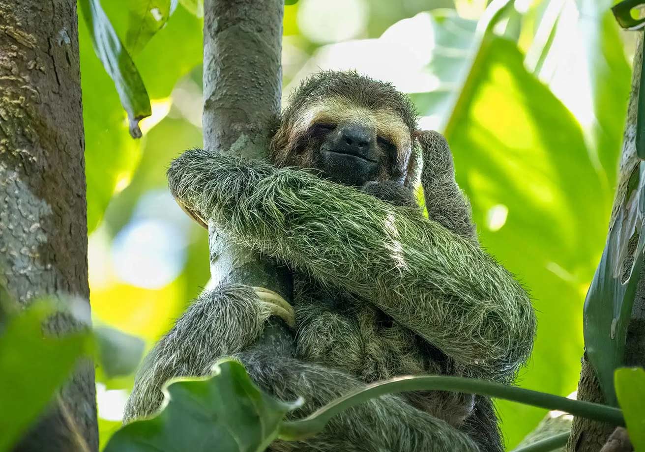 costa rica adventure tour