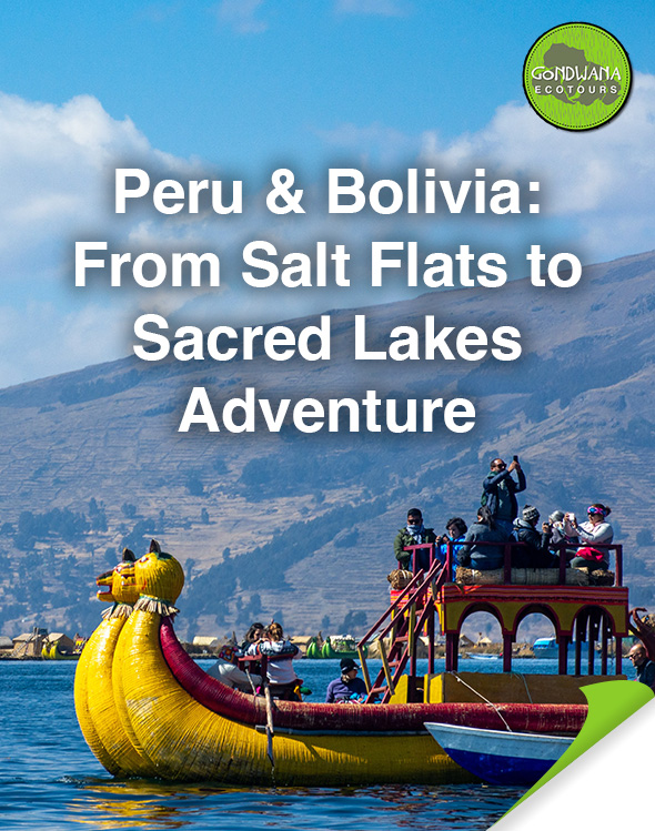 Peru and Bolivia EcoTour